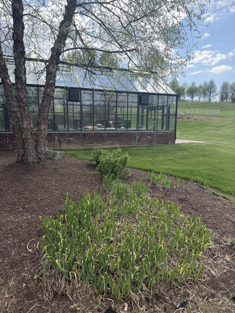 Eco-Hold Mulch GlueResidential